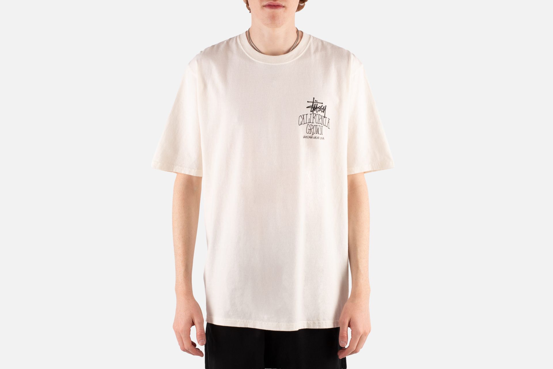 STUSSY CALIFORNIA GROWN PIG.DYED TEETシャツ 【公式通販】