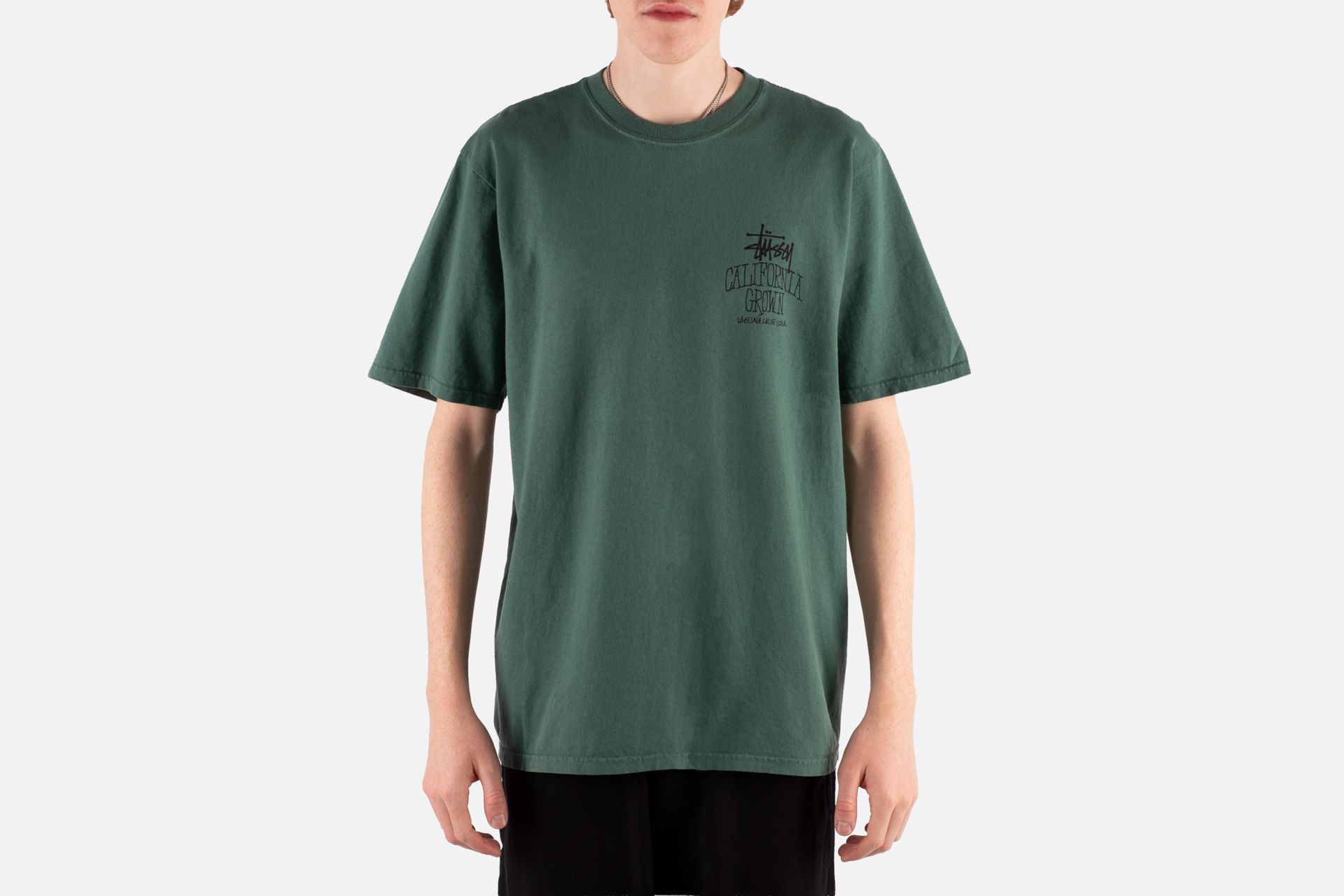 STUSSY CALIFORNIA GROWN PIG.DYED TEETシャツ 【公式通販】